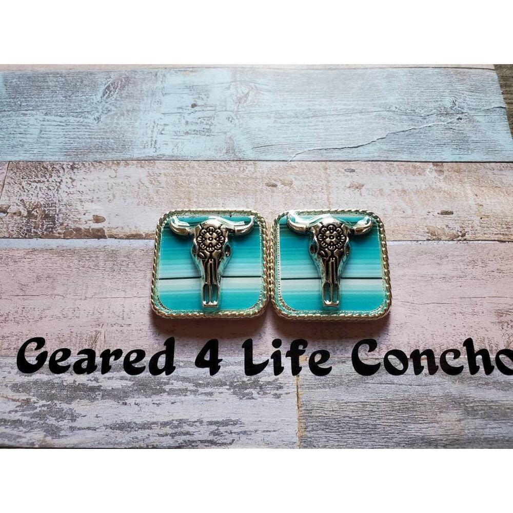 Blue serape steerhead concho, leather replacment concho, screwback conchos